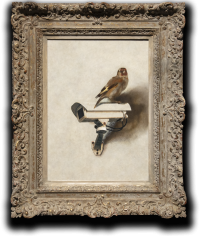 Birdview (2023)