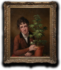 Weed Plant (2024)